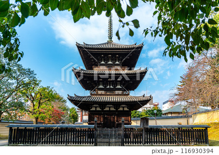 【奈良県】綺麗な青空が広がる興福寺の三重塔 116930394