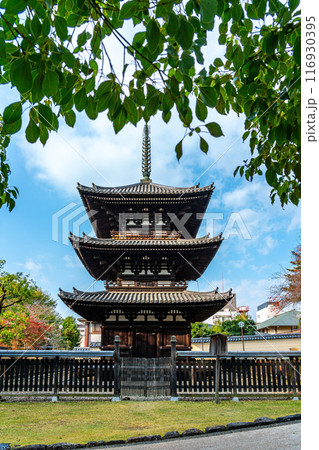 【奈良県】綺麗な青空が広がる興福寺の三重塔 116930395