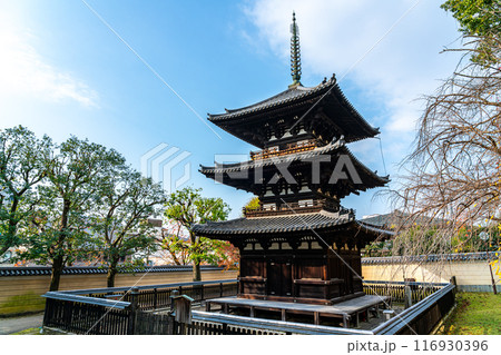 【奈良県】綺麗な青空が広がる興福寺の三重塔 116930396