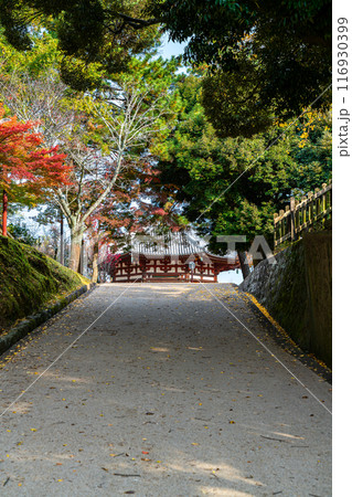 【奈良県】境内の坂道越しに見える興福寺の北円堂 116930399