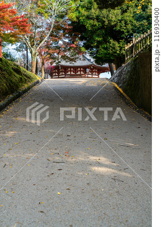 【奈良県】境内の坂道越しに見える興福寺の北円堂 【奈良県】境内の坂道越しに見える興福寺の北円堂 116930400