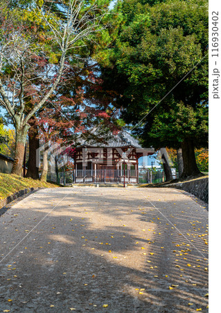 【奈良県】境内の坂道越しに見える興福寺の北円堂 116930402