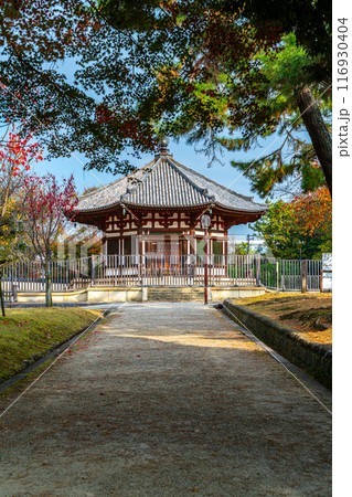 【奈良県】境内の坂道越しに見える興福寺の北円堂 【奈良県】境内の坂道越しに見える興福寺の北円堂 116930404