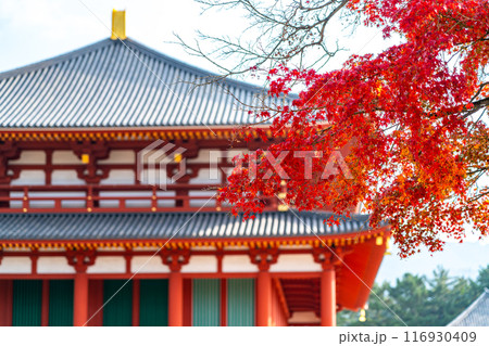 【奈良県】横から見た紅葉越しの興福寺の中金堂 【奈良県】横から見た紅葉越しの興福寺の中金堂 116930409