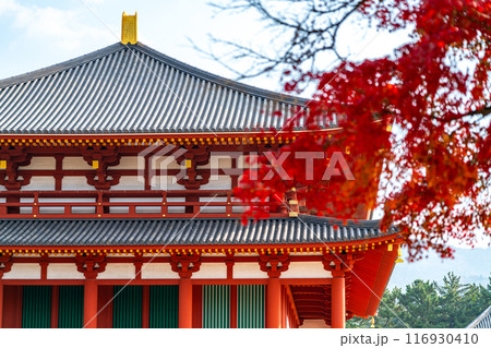 【奈良県】横から見た紅葉越しの興福寺の中金堂 116930410
