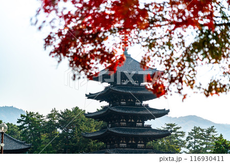 【奈良県】紅葉越しに見る興福寺の五重塔 116930411