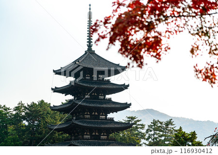 【奈良県】紅葉越しに見る興福寺の五重塔 116930412