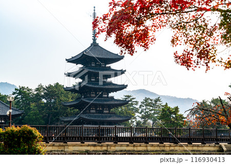 【奈良県】紅葉越しに見る興福寺の五重塔 116930413