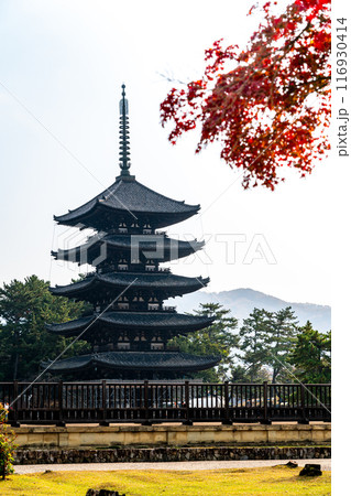 【奈良県】紅葉越しに見る興福寺の五重塔 116930414