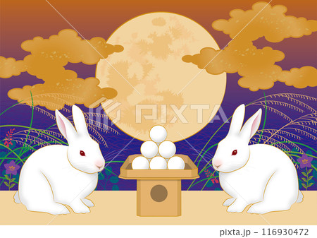 十五夜　中秋の名月　お月見をするうさぎ 116930472