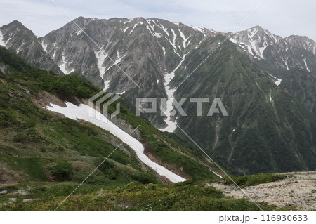 初夏の八方尾根から眺める残雪と北アルプス 初夏の八方尾根から眺める残雪と北アルプス 116930633