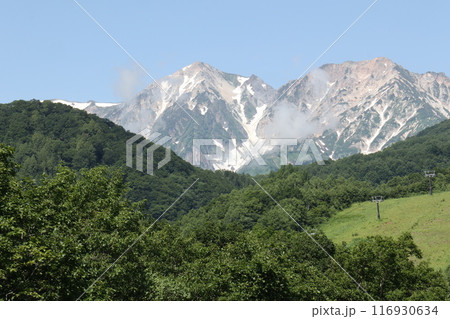 初夏のゲレンデ越しに望む雄大な白馬三山の峰 116930634