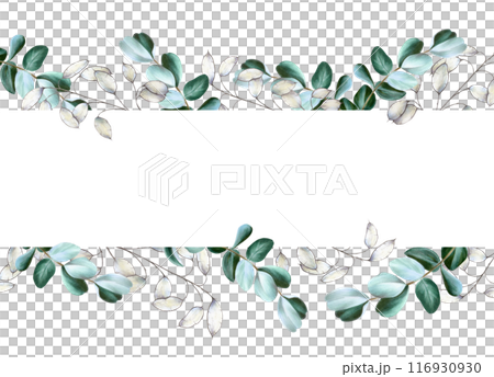 Seamless frame, border with eucalyptus, lunaria branches, dry plant. Watercolor hand drawn green plant isolated on transparent background. Christmas, winter, and wedding illustration. For designers, i Seamless frame, border with eucalyptus, lunaria branches, dry plant. Watercolor hand drawn green plant isolated on transparent background. Christmas, winter, and wedding illustration. For designers, i 116930930