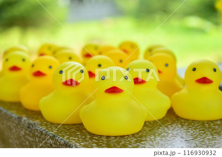 おもちゃのアヒル 116930932