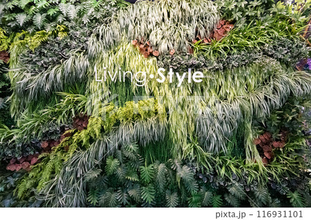 A Vertical garden filled with various type of small tree arranged together giving the feeling of fresh and relaxation. 116931101