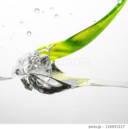 スプーンで水をすくう 116931317