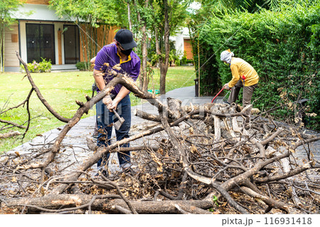 Asian worker axe the logs, dead tree to small pieces for next process. Asian worker axe the logs, dead tree to small pieces for next process. 116931418