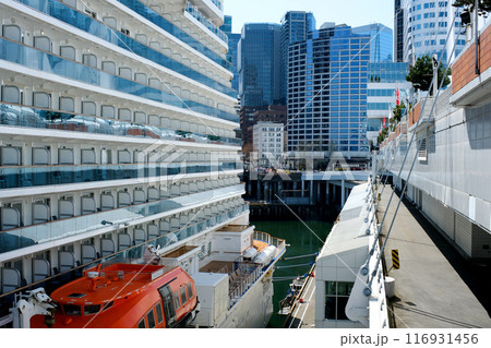 Canada Vancouver skyscrapers Flock Of Birds Flying Over South Granville With A View Of Downtown Vancouver And False Creek In Canada. Canada Vancouver skyscrapers Flock Of Birds Flying Over South Granville With A View Of Downtown Vancouver And False Creek In Canada. 116931456
