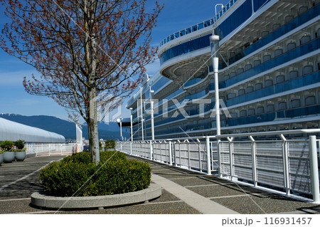 Canada Vancouver skyscrapers Flock Of Birds Flying Over South Granville With A View Of Downtown Vancouver And False Creek In Canada. Canada Vancouver skyscrapers Flock Of Birds Flying Over South Granville With A View Of Downtown Vancouver And False Creek In Canada. 116931457