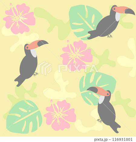 鳥のオオハシとハイビスカスとモンステラの背景 116931801