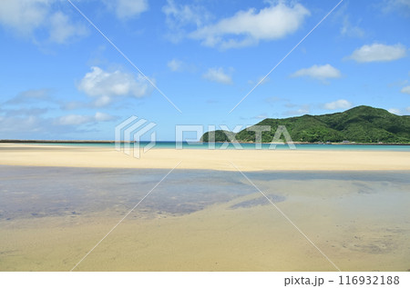 海岸沿いの公園の景色 海岸沿いの公園の景色 116932188