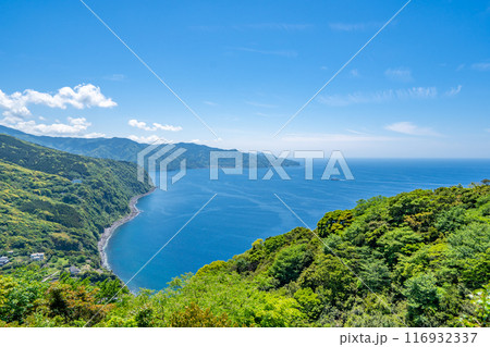 碧の丘 海岸線と遠望の山々に駿河湾を見下ろす眺望は絶景 碧の丘 海岸線と遠望の山々に駿河湾を見下ろす眺望は絶景 116932337
