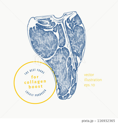 Vector Hand Drawn Meat Steak Illustration. Collagen Diet Food Illustration. Vintage Style Beef Steak Vector Hand Drawn Meat Steak Illustration. Collagen Diet Food Illustration. Vintage Style Beef Steak 116932365