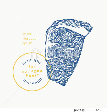 Vector Hand Drawn Meat Steak Illustration. Collagen Diet Food Illustration. Vintage Style Beef Steak 116932366