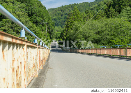 【オートキャンプ場沿いの道志川にかかる青馬橋と新緑】 【オートキャンプ場沿いの道志川にかかる青馬橋と新緑】 116932451