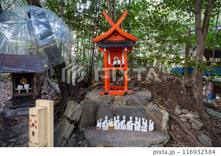 古い 太古 古代 116932584