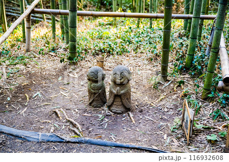 嵐山町 京都嵐山 嵐山渓谷 116932608