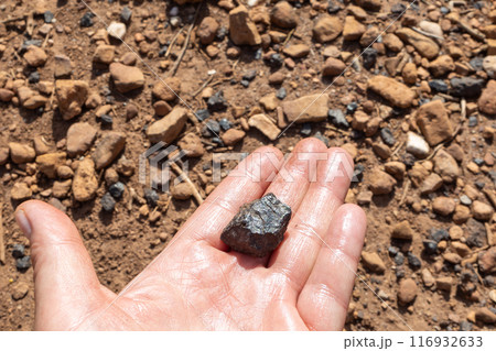 Close-Up Hand Holding Mineral Specimen Outdoors Close-Up Hand Holding Mineral Specimen Outdoors 116932633