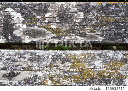 Green moss texture on old wooden plank Green moss texture on old wooden plank 116932711