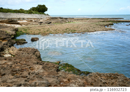 Coastline picture on charente maritime atlantic ocean Coastline picture on charente maritime atlantic ocean 116932723