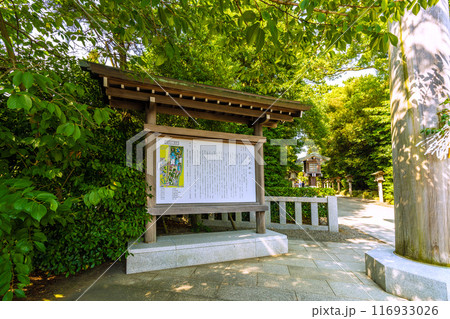 日本の寒川都市景観 相模國一之宮 寒川神社・境内など望む=令和6年7月21日 日本の寒川都市景観 相模國一之宮 寒川神社・境内など望む=令和6年7月21日 116933026