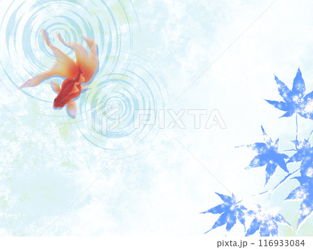 金魚が泳いでいる夏イメージの背景イラスト 116933084