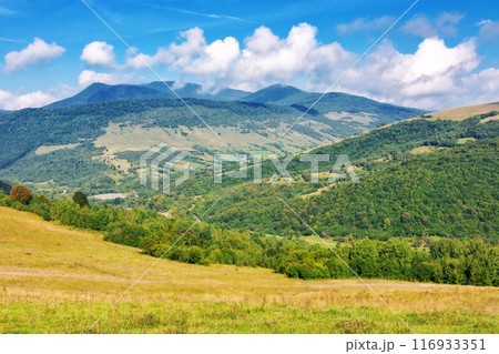 mountain meadow in morning light. countryside autumn landscape with valley behind the forest on the grassy hill. fluffy clouds on a bright blue sky mountain meadow in morning light. countryside autumn landscape with valley behind the forest on the grassy hill. fluffy clouds on a bright blue sky 116933351