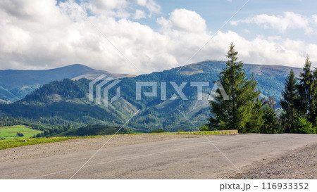 old country road in carpathian mountains of ukraine. landscape in early autumn. trees on the roadside in evening light. blue sky with fluffy clouds above the distant ridge 116933352