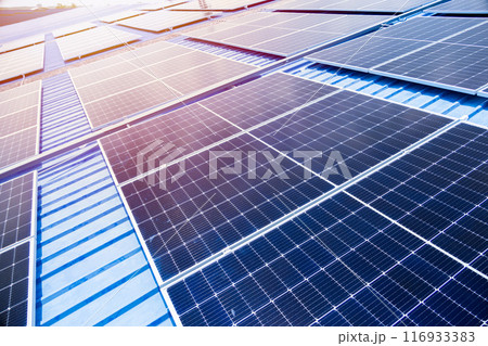Large Photovoltaic panels on industry roof . Grid view of Solar panels or Solar cell in the factory roof house for saving energy background. 116933383