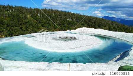 ドラゴンアイ 116933851