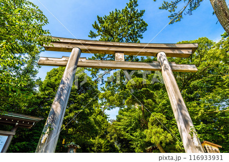 日本の寒川都市景観 相模國一之宮 寒川神社・鳥居・境内など望む=令和6年7月21日 日本の寒川都市景観 相模國一之宮 寒川神社・鳥居・境内など望む=令和6年7月21日 116933931