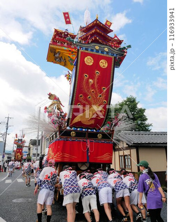 日田の祇園祭 山鉾を押す祭り人 (大分県日田市) 日田の祇園祭 山鉾を押す祭り人 (大分県日田市) 116933941