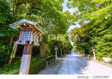 日本の寒川都市景観　相模國一之宮 寒川神社・境内など望む＝令和6年7月21日 116933987