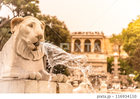 The warm glow of sunset illuminates the lion fountain at Popolo Square, with water streaming gracefully from the lions mouth. Rome, Italy The warm glow of sunset illuminates the lion fountain at Popolo Square, with water streaming gracefully from the lions mouth. Rome, Italy 116934110