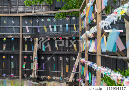 夏の半六庭園、風鈴かざり〈愛知県半田市〉 116934117