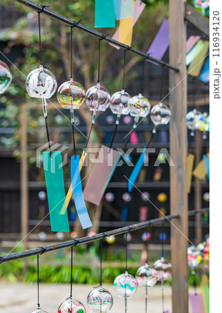 夏の半六庭園、風鈴かざり〈愛知県半田市〉 116934120