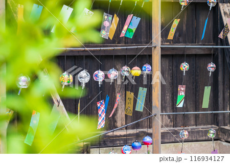 夏の半六庭園、風鈴かざり〈愛知県半田市〉 116934127