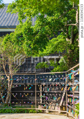 夏の半六庭園、風鈴かざり〈愛知県半田市〉 116934133