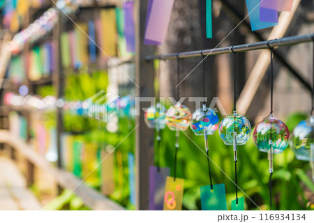 夏の半六庭園、風鈴かざり〈愛知県半田市〉 116934134