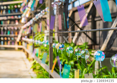 夏の半六庭園、風鈴かざり〈愛知県半田市〉 116934135